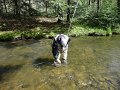 DSC00721