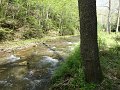 DSC00735