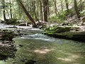 DSC00747
