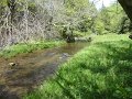 DSC00777