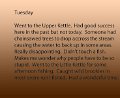 Tuesday