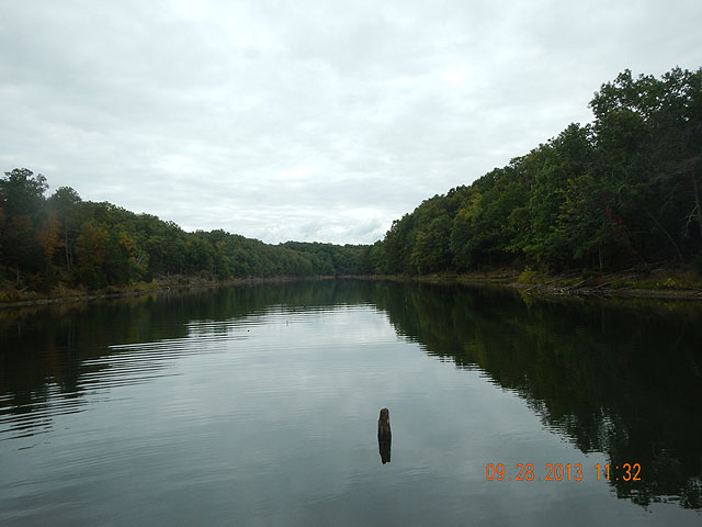 DSCN0138.jpg -                                Not unusual to see trunks of trees protruding from the middle of the numerous coves in 15 to 25 ft of water.