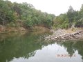 DSCN0137