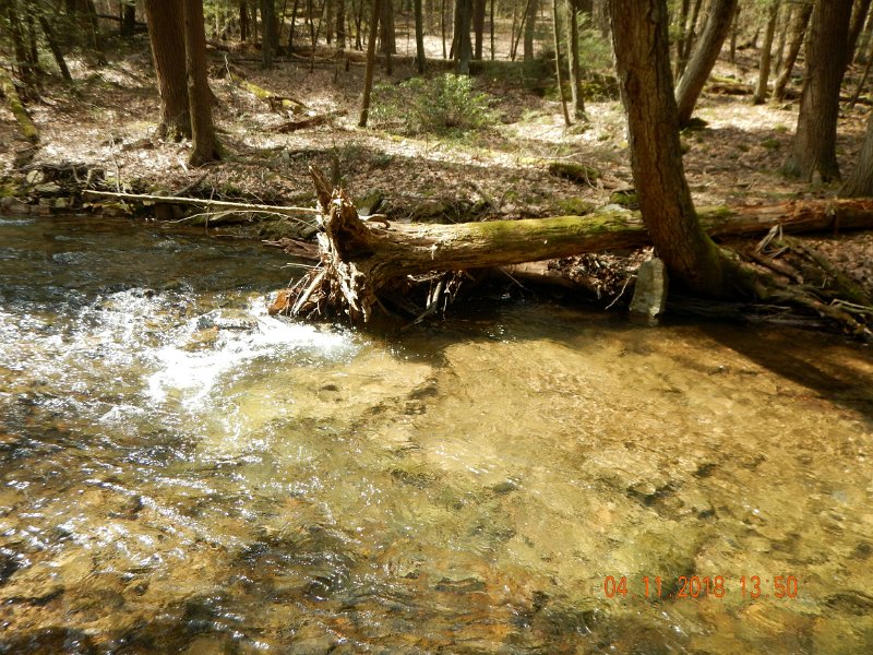 DSCN3022.jpg - Water looked great.  The air was cooler than I expected and the water was in the mid to low 40's. But, clear and pretty.