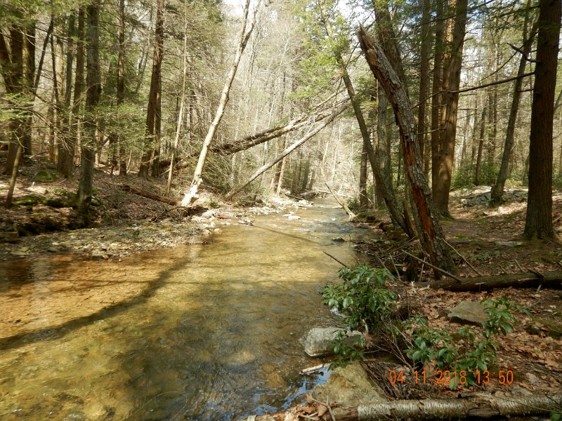 DSCN3023.jpg - One of the prettiest streams around.  Even when there are no signs of spring.