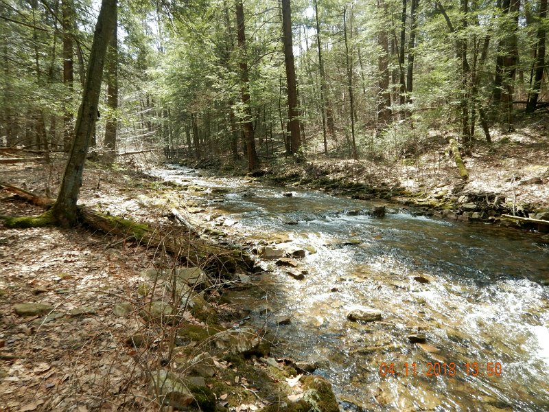 DSCN3024.jpg - Can't wait for dry fly season to arrive.  While catching fish, I'm getting tired of fishing under water all the time.