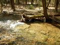 DSCN3022