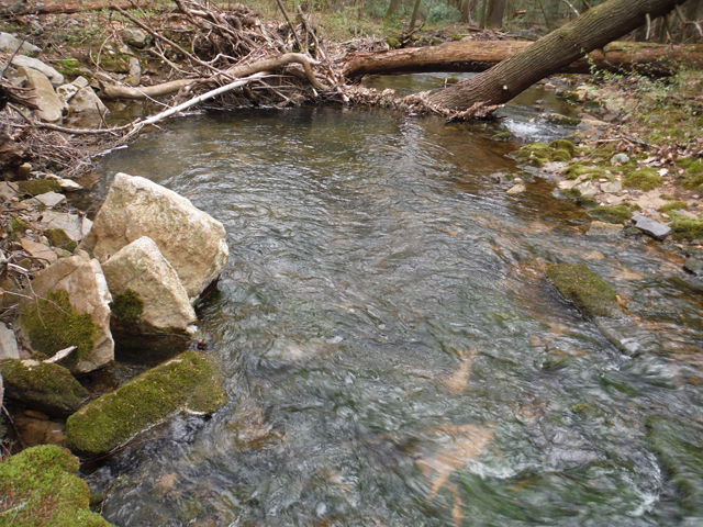 DSCF9217.jpg - And here is the pool where it was living.  The stream had good water but the fish were tough to come by.  They weren't as aggressive as in days past.  Maybe it was the colder weather.