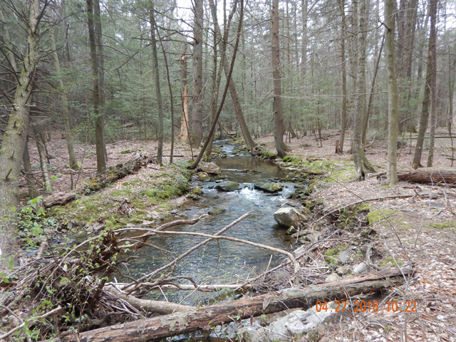 DSCN1132.jpg -                                This stream is really beautiful.  It will be even better when the plants and trees are in full bloom.