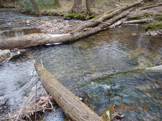 DSCN1140.jpg -                                But, pools like this one are likely to hold bigger fish.