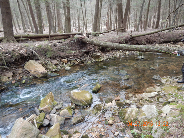 DSCN1148.jpg -                                Runs like this one are inviting but standing too close to the gin clear water usually means no fish...like in this case.