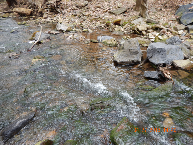 DSCN1159.jpg -                               