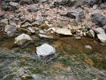 DSCF9228