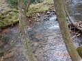 DSCN1143