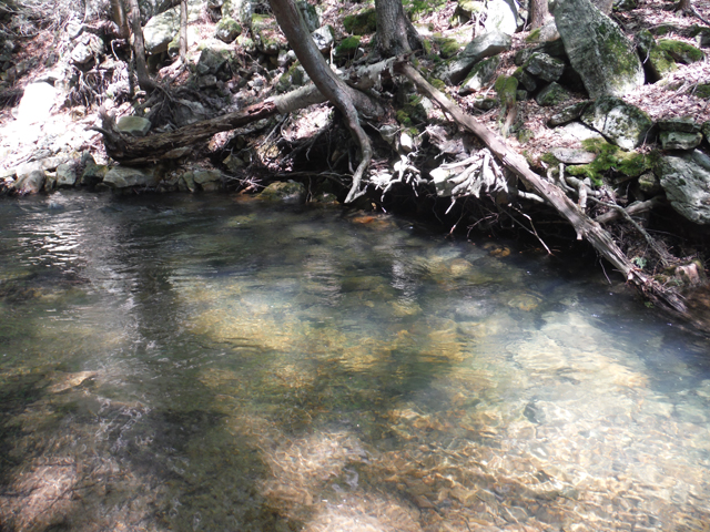 DSCF9617.jpg - The last fish pic came from this run.  Water levels were up making dry fly fishing a bit more challenging.  Good drifts were interrupted by faster than normal currents.