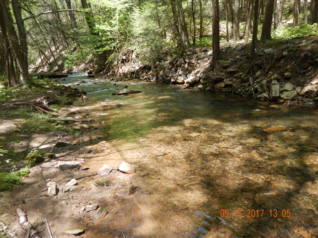 DSCN2056.jpg -                                There were fish in almost every attractive run.