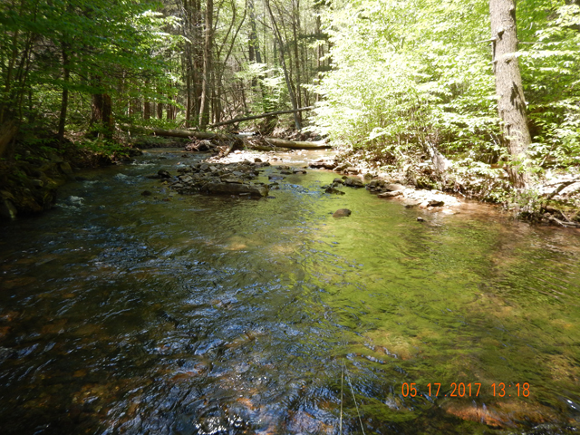 DSCN2058.jpg -                                So many places to cast...so many locations to conceal fish.