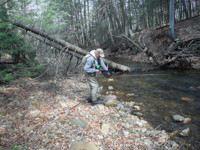 DSCF9574.jpg - Removing the hook and releasing it back to the wild.