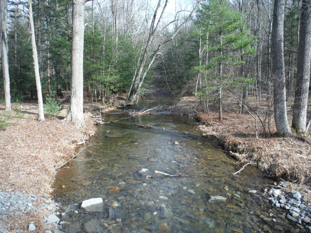 DSCF9578.jpg - A parting shot of the stream...most certainly, we will be back.
