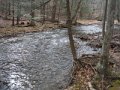 DSCF9570