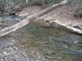 DSCF9572