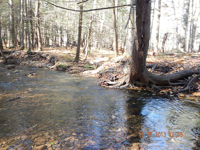 DSCN0188.jpg -                                Easy to see where that one was hiding.