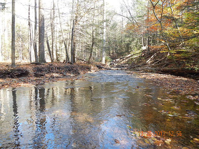 DSCN0189.jpg -                                Stream was beautiful even though we didn't get a pot full of trout.