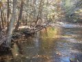 DSCN0184