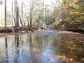 DSCN0189