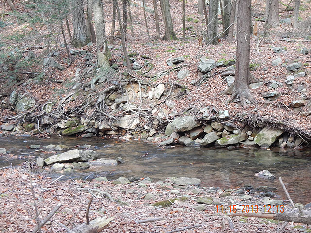 DSCN0225.jpg -                                Stream was perfect too!