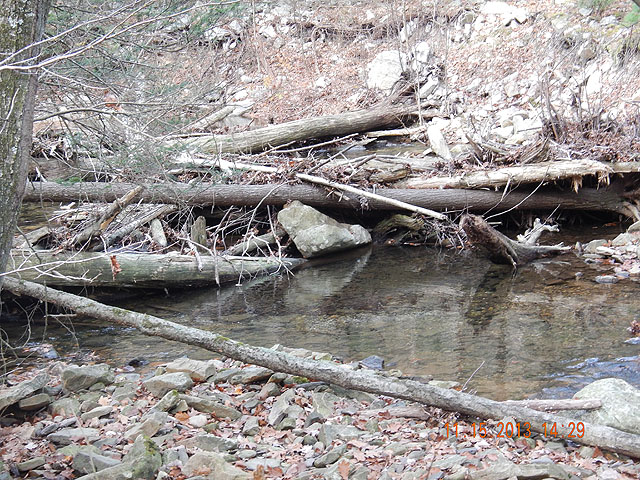 DSCN0240.jpg - And each one seemed to hold fish.                               