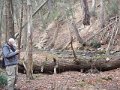 DSCN0226