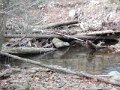 DSCN0240