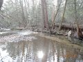 DSCN0242