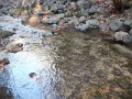 DSCN0254