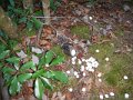 DSCN0255