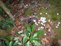 DSCN0256