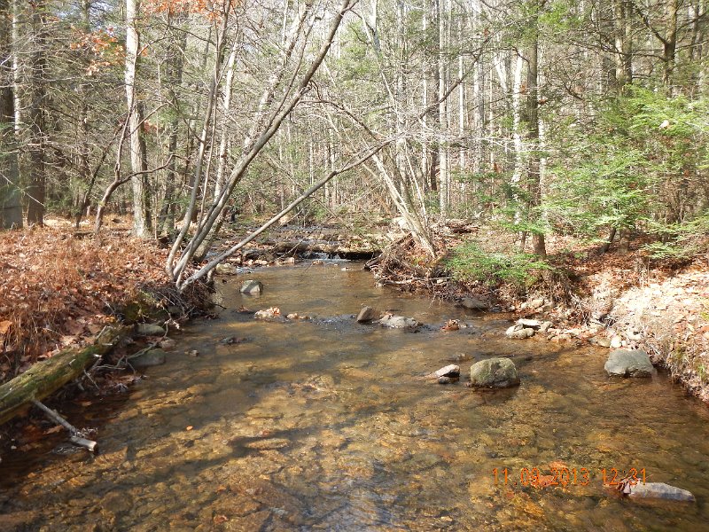 DSCN0204.JPG - Stream shot.  Just an idea of the type of stream.