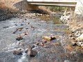DSCN0200