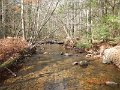 DSCN0204
