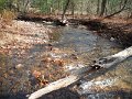 DSCN0205