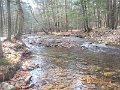 DSCN0209
