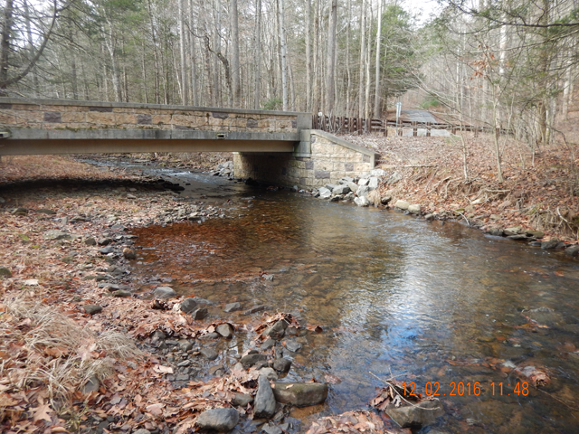DSCN1800.jpg - Two days of rain certainly helped the stream.  Still not up to normal but a lot better than it was.                               