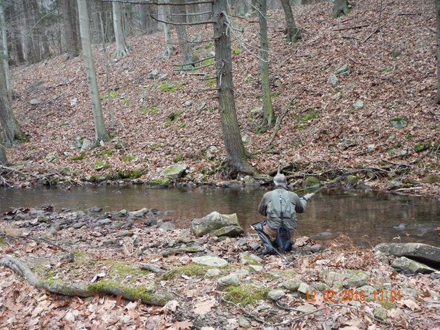 DSCN1807.jpg -      Nice pool but nothing taking the offering.  They were just not biting well.                          