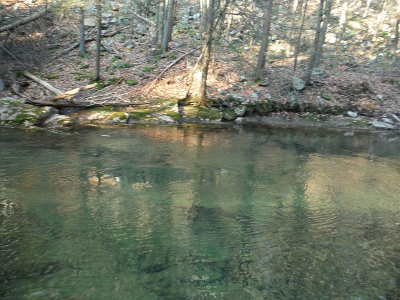 DSCF0033.jpg - This was a huge pool but the only fish caught here was a chub.
