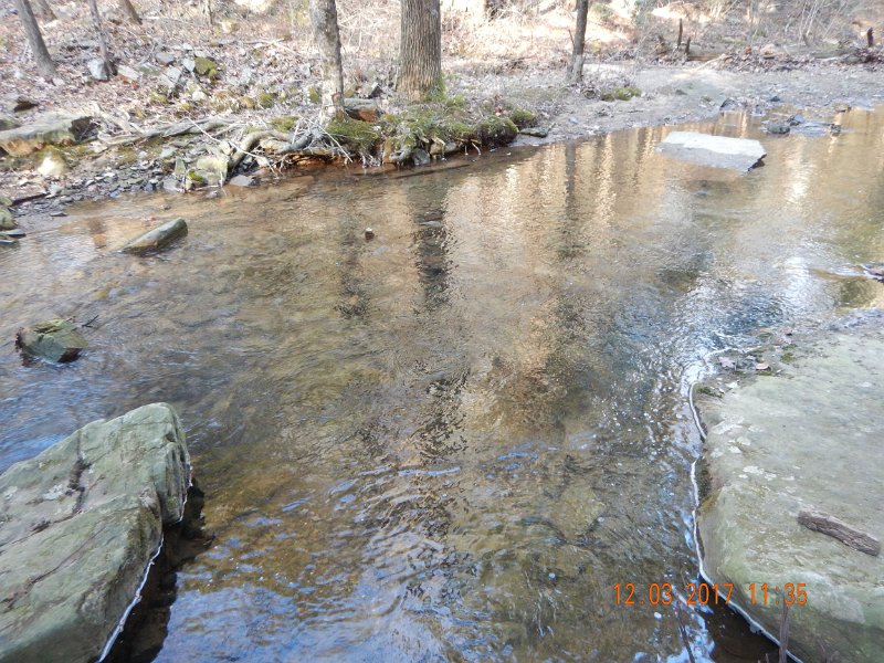 DSCN2906.jpg - This was the stream next to the parking lot.  Normally I hit a couple fish here but we only got one today.