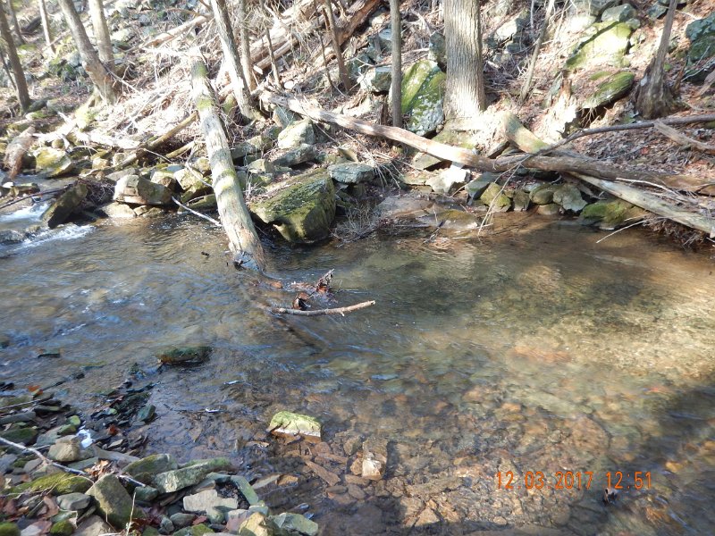 DSCN2913.jpg - This run held a bunch of fish and I hooked more than a few but only one came to the net.