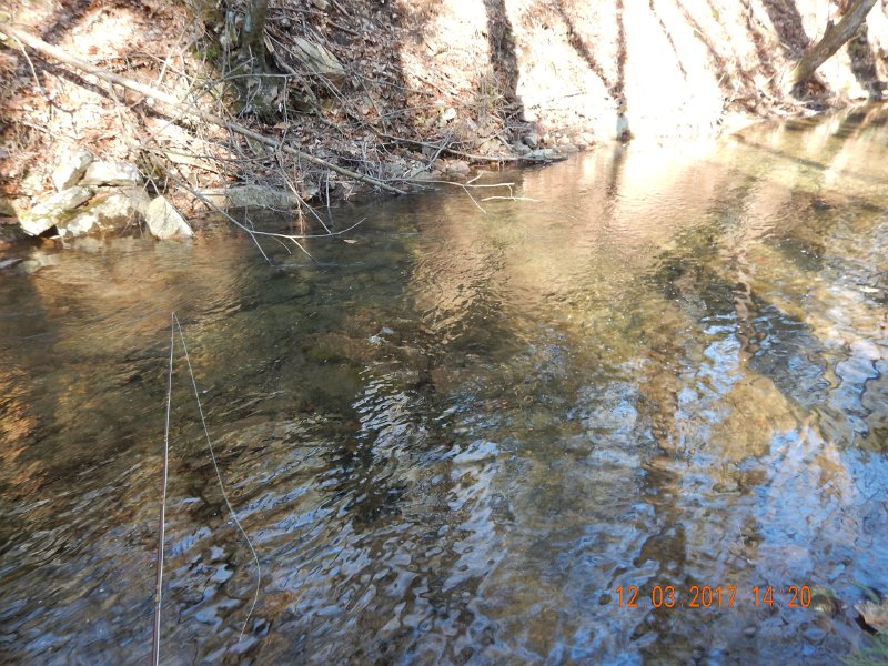 DSCN2919.jpg - Nice deep run.  This spot held a number of fish too.