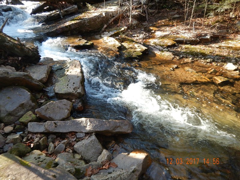 DSCN2924.jpg - I might have pulled one from the bottom of this riffle but the picture is more for the scenery than production.