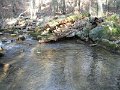 DSCF0006